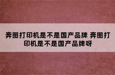 奔图打印机是不是国产品牌 奔图打印机是不是国产品牌呀